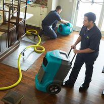 Mold Inspection Livonia business image in Livonia, MI