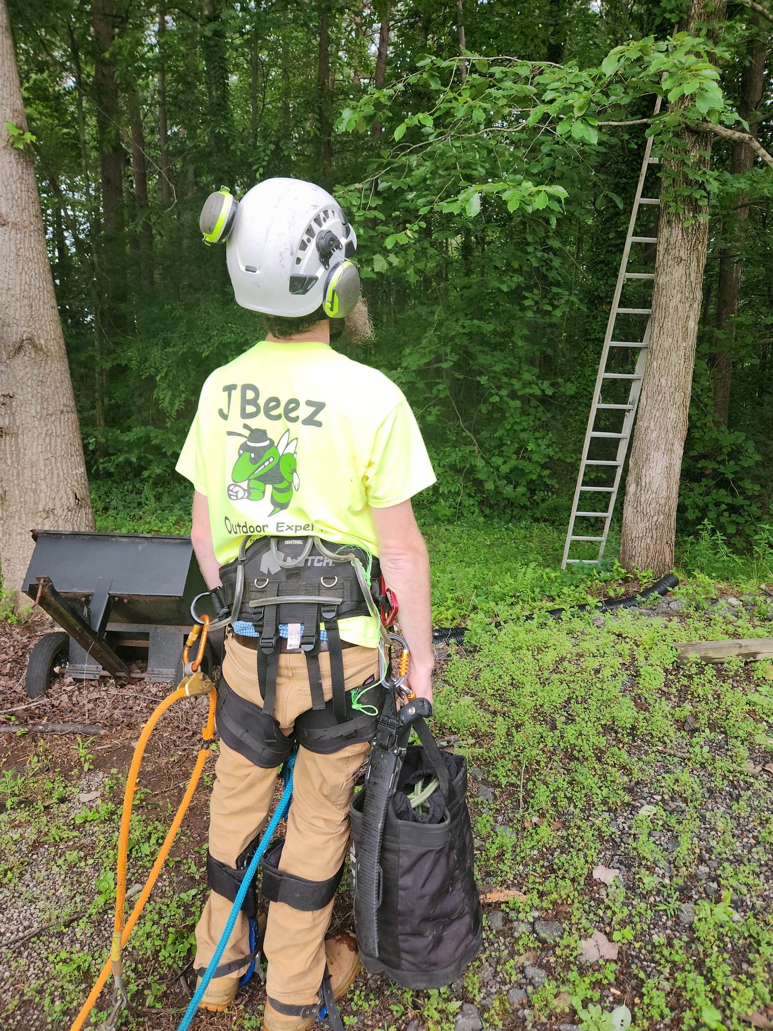 JBeez Outdoor Experts LLC business image in Kernersville, North Carolina